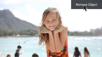 Object Removal: Erase distractions in seconds