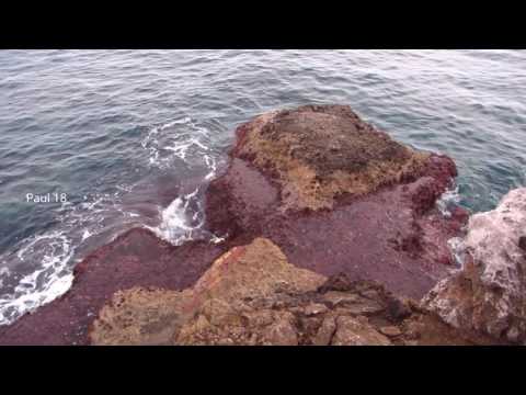 Sea of Comfortable ( Original Mix) Sunny Terrace