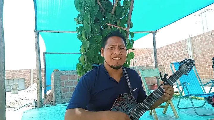 COVER REQUINTO PERUANO ,LOS HNOS LOZA DE PISACOMA ...