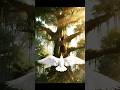 The White Cockatoo’s Hidden Nest of Diamonds | Mysterology
