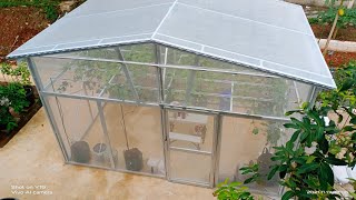 Cara Membuat Green House untuk Pohon Anggur Tambulampot