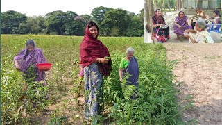 আজ সকাল সকাল সীমা কোথায় গেল আর আজকে কি রান্না করলো village life vlog