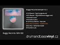 Dj slavick electrom dj flux dafonic  buggy records sampler no2