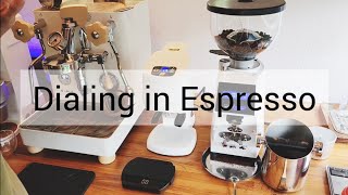 Dialing in espresso for newbie (PL162T and Remidag 58P)