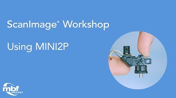 Workshop: MINI2P and ScanImage