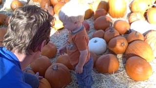 charlie's pumpkin patch trip