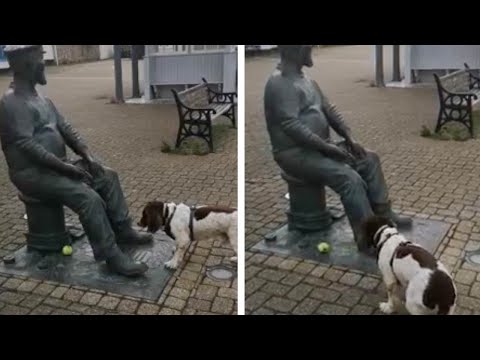 Videó: Kutya szobrok…. MIT?!!