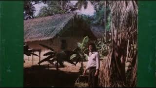 Version 3 of the video