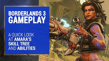 Borderlands 3 Amara Skill Tree