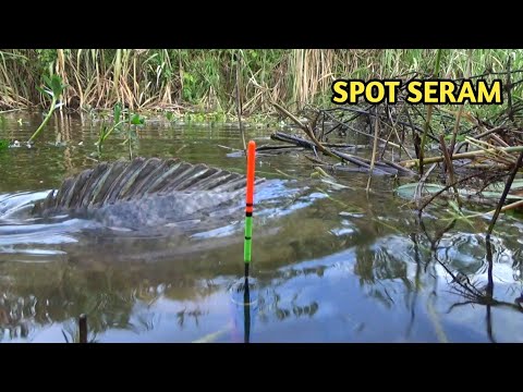 buka spot baru
