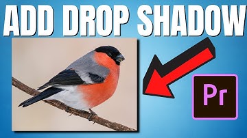 How To Add DROP SHADOW | 1 Minute Tutorial | Adobe Premiere Pro 2022