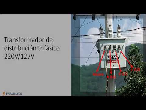 9 Diferencias entre