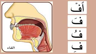Буква ف. Махрадж. Айман Сувейд. Таджвид. Правильное произношение арабских букв.