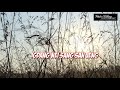 Hinkho a ding || Lamkholhing ||Kuki Old Song ||