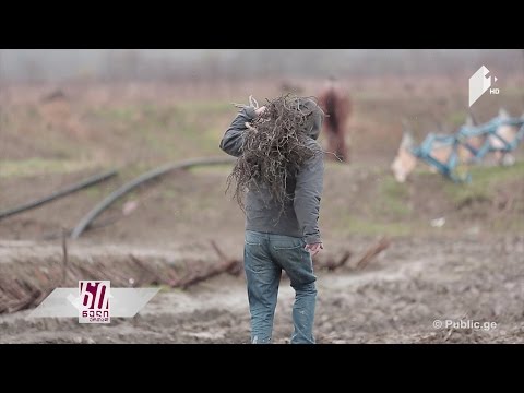 სოფლად ცხოვრების პერსპექტივა:  სამუშაო შეხვედრა ლელიანში