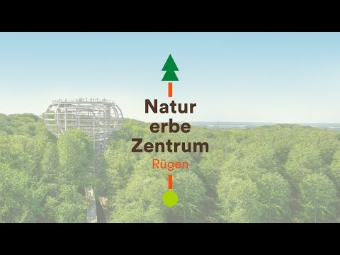 Naturerbe Zentrum Rügen Baumwipfelpfad & Erlebnisausstellung