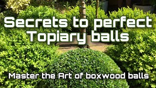 Topiary boxwood ball Tutorial - Trimming Tips #topiarytutorial #boxwoodballs #topiaryballtrimming