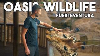 Oasis Wildlife Park - Fuerteventura (VLOG)