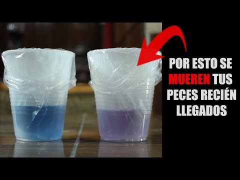 Video: ¿Por qué es tan importante la aclimatación?