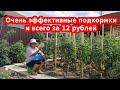 Недорогие удобрения и подкормки для огурцов, томатов за 12 рублей и меньше