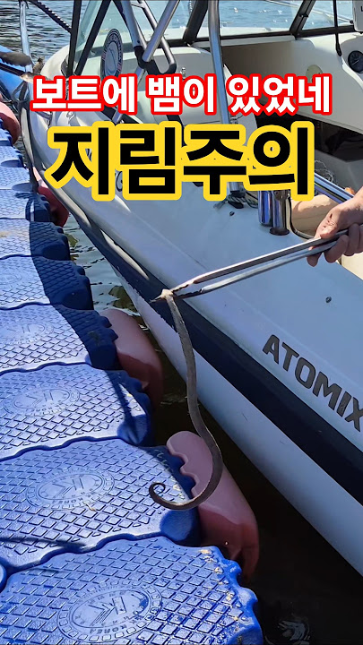 There's a snake in the boat?