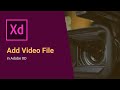 How to Add Audio Video in Adobe XD | Add Video to Your Prototypes | Play video in XD