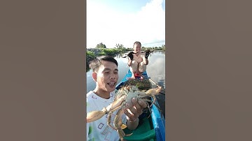 #Shorts Tiếc hùi hụi @CaMauCuocSongQueToiChucLe