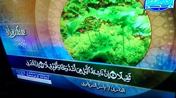 سورة المزمل (1 -10) - بصوت الشيخ / ياسر الشرقاوي - جديد مختارات #المجد