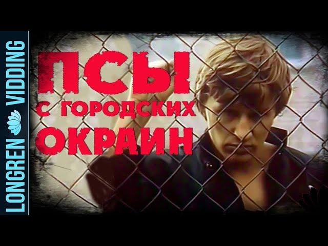 ЧАЙФ - Псы С Городских Окраин