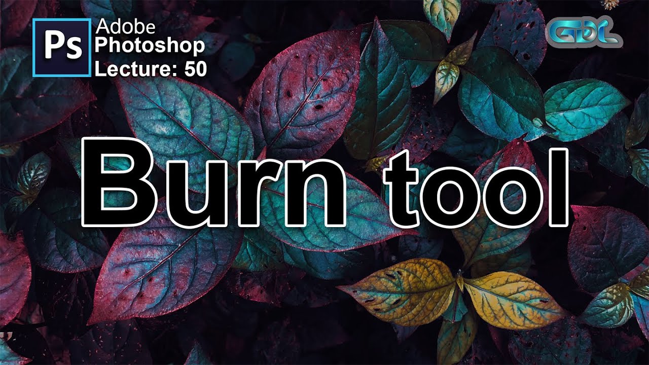 Burn tool Lecture 50 How to use burn tool Adobe