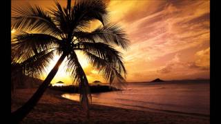 [HD] Paul Van Dyk - We Come Together (Feat. Sue Mclaren) (Arty Remix)