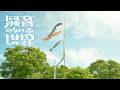 【Music】こいのぼり - 騒音のない世界