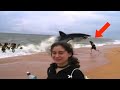 UNEXPECTED Animal ATTACKS!  AFVs Wildest Animal Moments