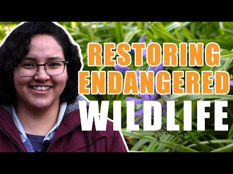 Connecting Queer Indigenous Identity And Land Restoration To Save Wildlife Out About