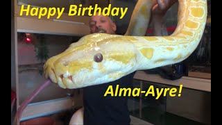 Happy Birthday Alma-Ayre!!!
