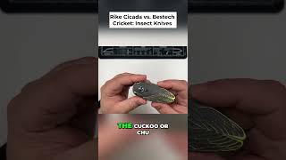 What Are The Strangest Knives You've Ever Seen?! 💯🤯 Rike Cicada #shorts