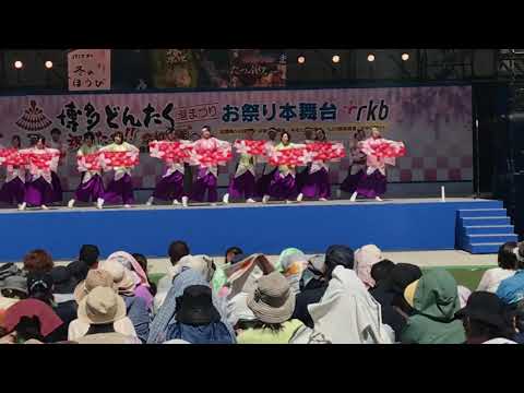ふくこい連  博多どんたく2019