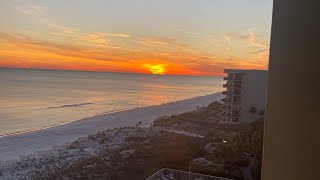 Much needed weekend in Florida! #AirBnB Review: #SprinkledFlamingo