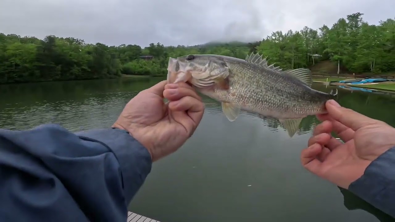Yogi Bear Jellystone BASS FISHING Their Pond (Golden Valley NC)