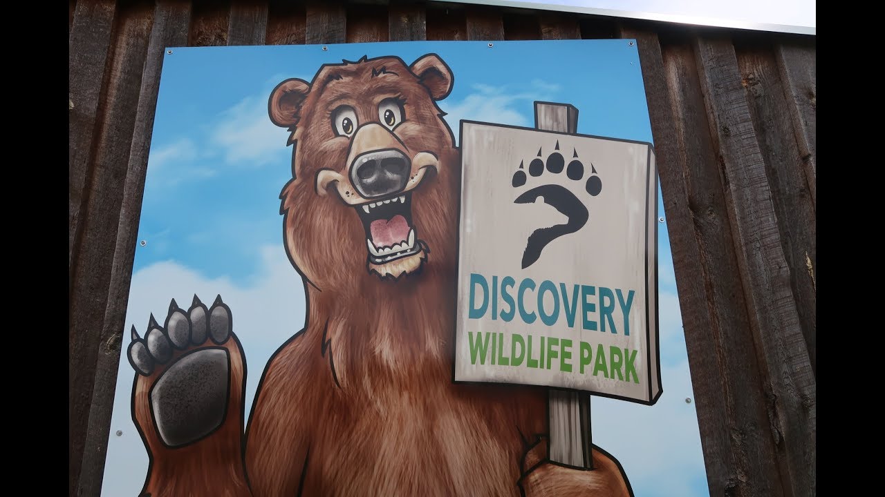 Discovery Wildlife Park Innisfail Zoo Alberta Canada YouTube