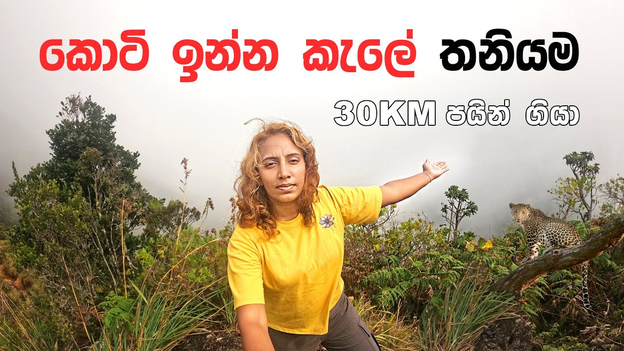 I Walked the Deadliest Trail in Sri Lanka! 🐆 Ohiya to Pattipola Hike through Horton Plains