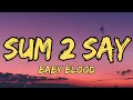 Baby Blood SUM 2 SAY Lyrics 