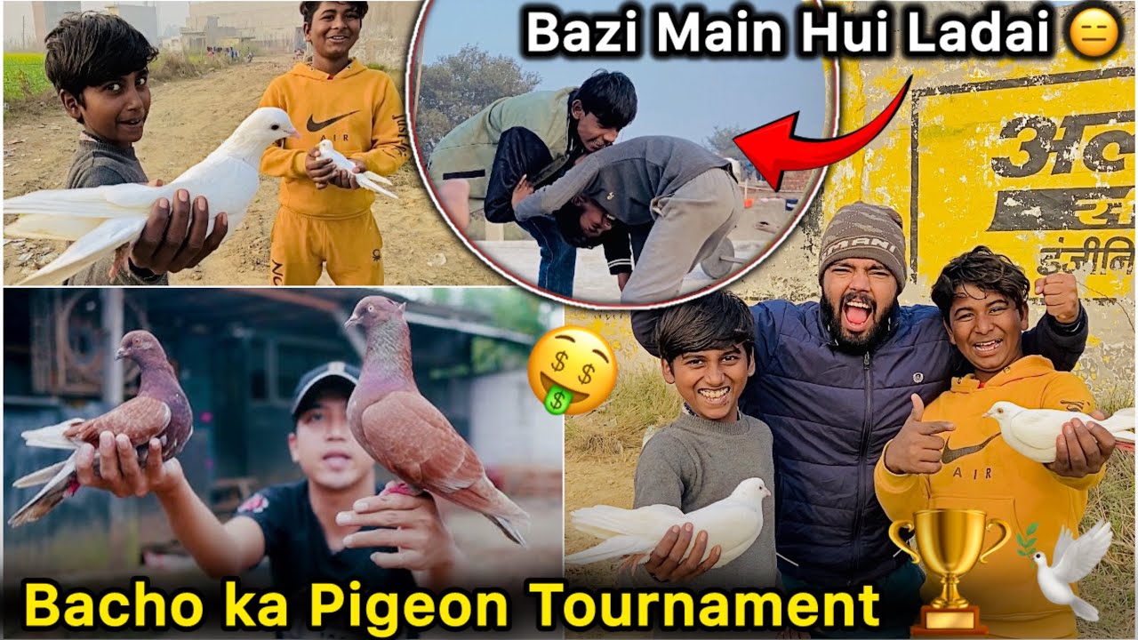 Bacho ki Kabutar Bazi 🤩 || Kon Jeetga 💰|| Bacho ki Pigeon Race Hui 🕊️
