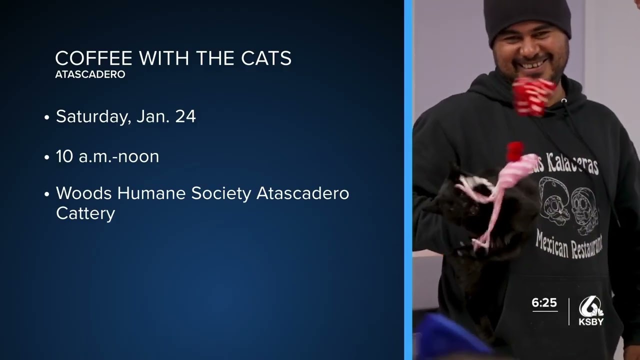 What's happening this weekend: Music, dancing and monster trucks