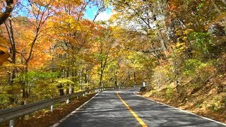 紅葉の見頃 碓氷峠 国道18号旧道 2019年11月12日 - YouTube