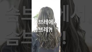 솜브레 새치커버용 또 솜브레
