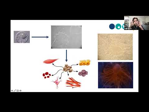 Vídeo: O que são células-tronco pluripotentes induzidas?