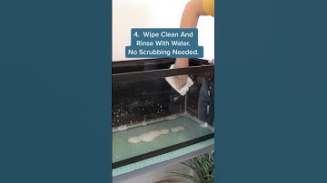 How To Clean Your Snakes Terrarium