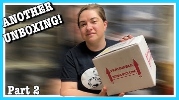 UNBOXING NEW RECESSIVE FEMALE! Ball Python Unboxing | New Reptile Pickup | Part 2