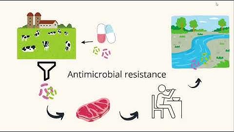 Genomics of multidrug-resistant bacteria isolated from food: a unique health perspective.